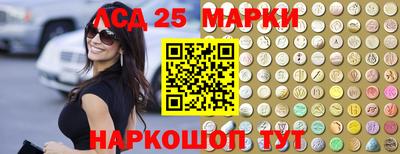 шишки Коммунар