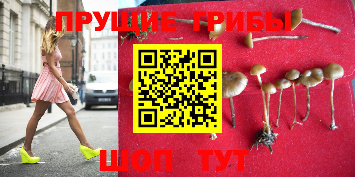 Краснотурьинск  Псилоцибиновые грибы ЛСД  Вход с VPN 